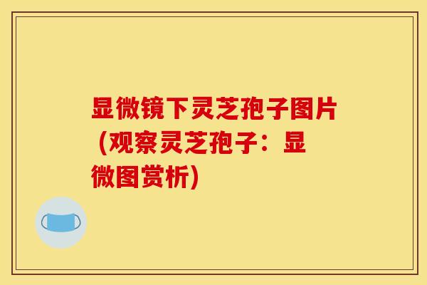 显微镜下灵芝孢子图片 (观察灵芝孢子：显微图赏析)