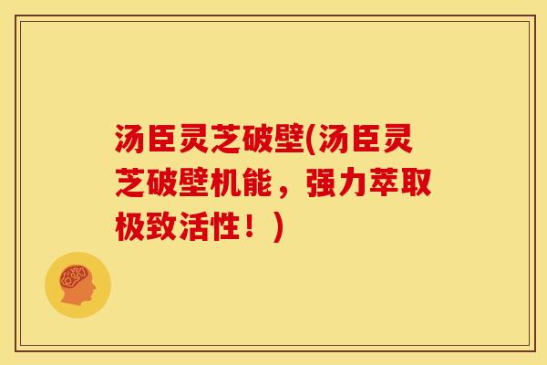 汤臣灵芝破壁(汤臣灵芝破壁机能，强力萃取极致活性！)