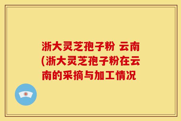 浙大灵芝孢子粉 云南(浙大灵芝孢子粉在云南的采摘与加工情况