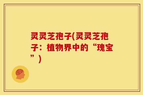 灵灵芝孢子(灵灵芝孢子：植物界中的“瑰宝”)