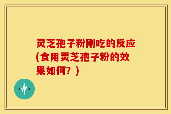 灵芝孢子粉刚吃的反应(食用灵芝孢子粉的效果如何？)