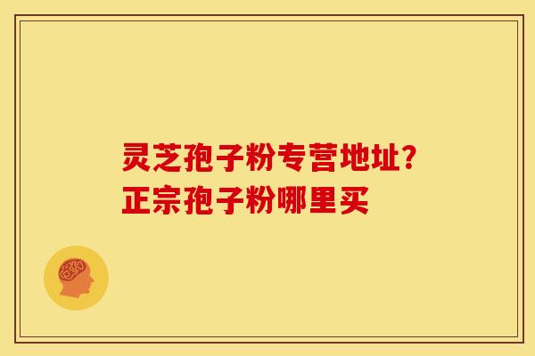 灵芝孢子粉专营地址？正宗孢子粉哪里买