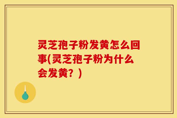 灵芝孢子粉发黄怎么回事(灵芝孢子粉为什么会发黄？)