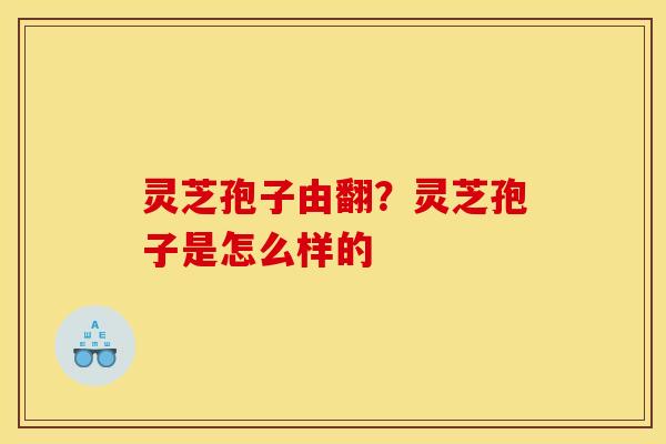 灵芝孢子由翻？灵芝孢子是怎么样的