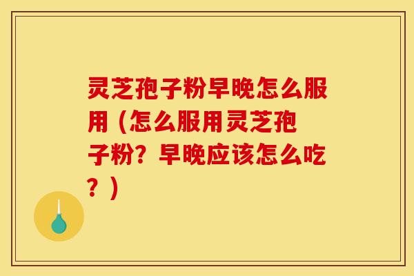 灵芝孢子粉早晚怎么服用 (怎么服用灵芝孢子粉？早晚应该怎么吃？)