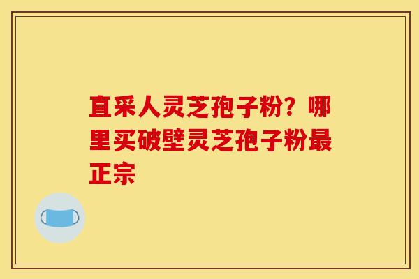 直采人灵芝孢子粉？哪里买破壁灵芝孢子粉正宗