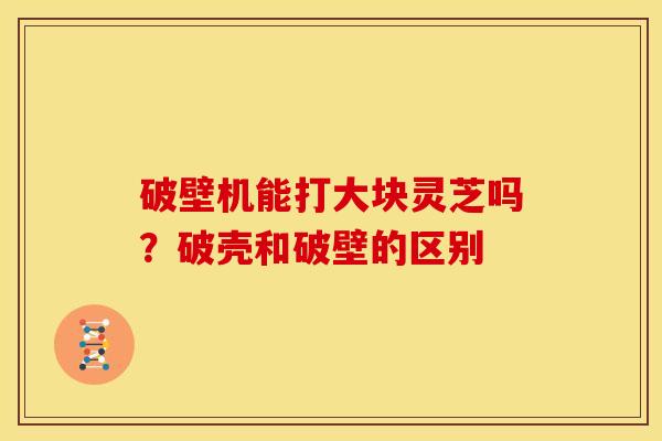 破壁机能打大块灵芝吗？破壳和破壁的区别