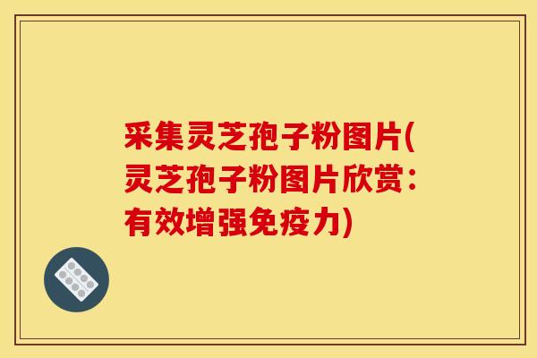 采集灵芝孢子粉图片(灵芝孢子粉图片欣赏：有效增强免疫力)