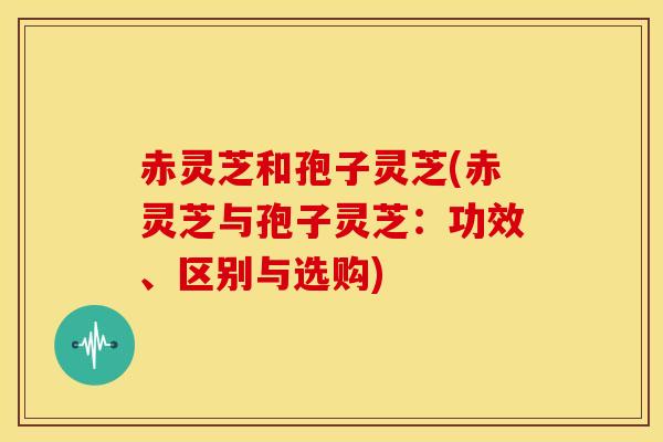 赤灵芝和孢子灵芝(赤灵芝与孢子灵芝：功效、区别与选购)