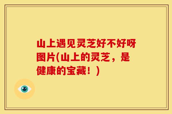 山上遇见灵芝好不好呀图片(山上的灵芝，是健康的宝藏！)