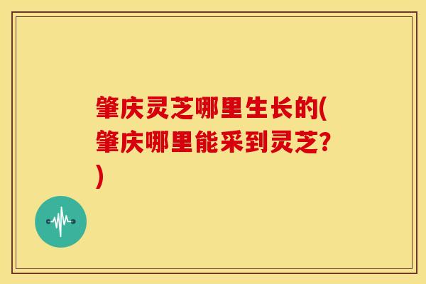 肇庆灵芝哪里生长的(肇庆哪里能采到灵芝？)