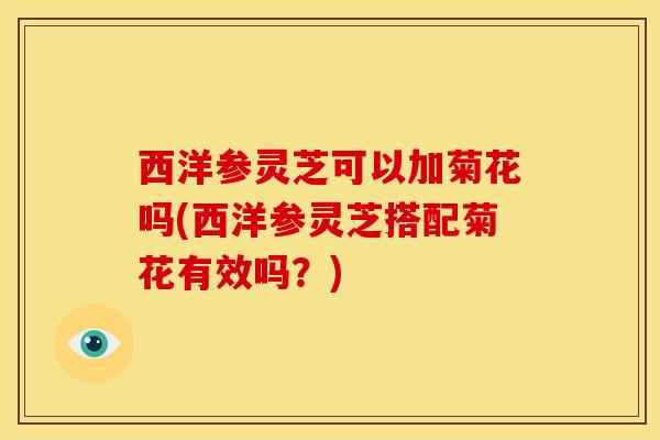 西洋参灵芝可以加菊花吗(西洋参灵芝搭配菊花有效吗？)