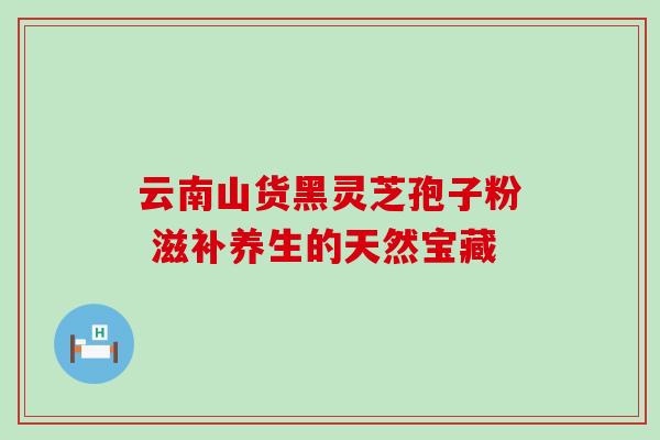 云南山货黑灵芝孢子粉 滋补养生的天然宝藏