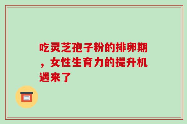吃灵芝孢子粉的排卵期，女性生育力的提升机遇来了