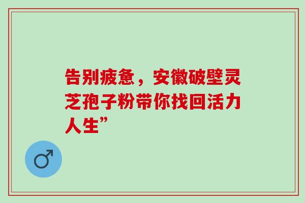 告别疲惫，安徽破壁灵芝孢子粉带你找回活力人生”