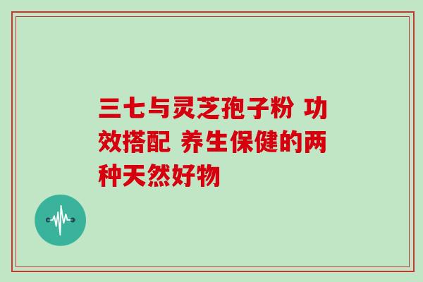三七与灵芝孢子粉 功效搭配 养生保健的两种天然好物