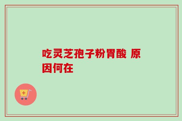 吃灵芝孢子粉胃酸 原因何在