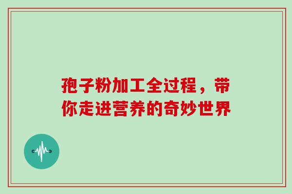 孢子粉加工全过程，带你走进营养的奇妙世界
