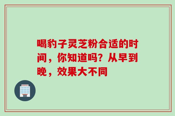 喝豹子灵芝粉合适的时间，你知道吗？从早到晚，效果大不同