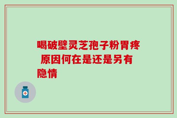 喝破壁灵芝孢子粉胃疼 原因何在是还是另有隐情