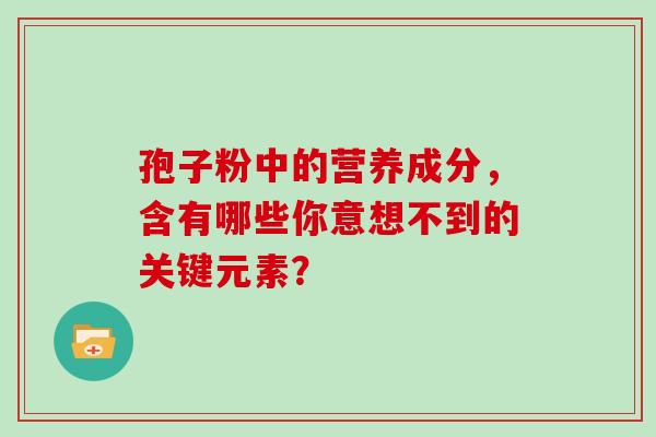 孢子粉中的营养成分，含有哪些你意想不到的关键元素？