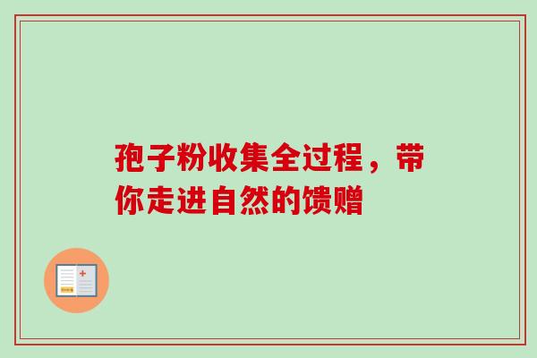 孢子粉收集全过程，带你走进自然的馈赠