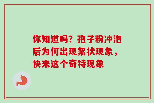 你知道吗？孢子粉冲泡后为何出现絮状现象，快来这个奇特现象