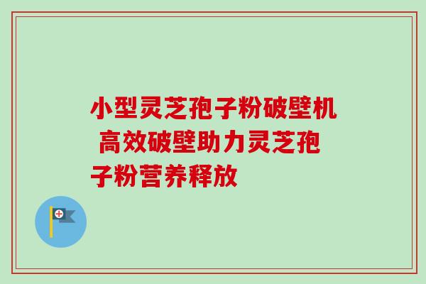 小型灵芝孢子粉破壁机 高效破壁助力灵芝孢子粉营养释放