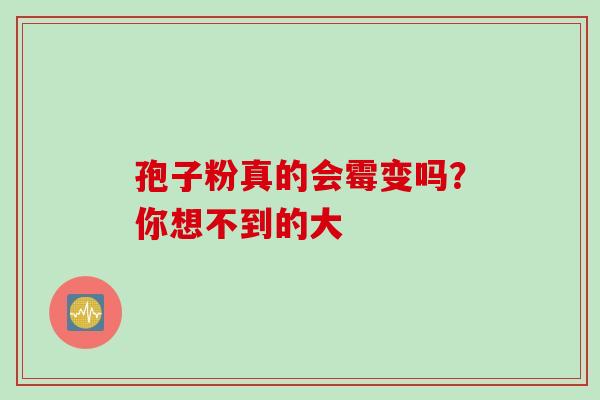 孢子粉真的会霉变吗？你想不到的大