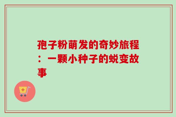 孢子粉萌发的奇妙旅程：一颗小种子的蜕变故事