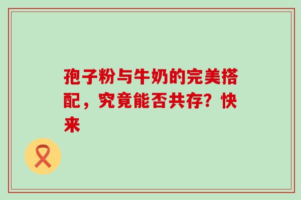 孢子粉与牛奶的完美搭配，究竟能否共存？快来