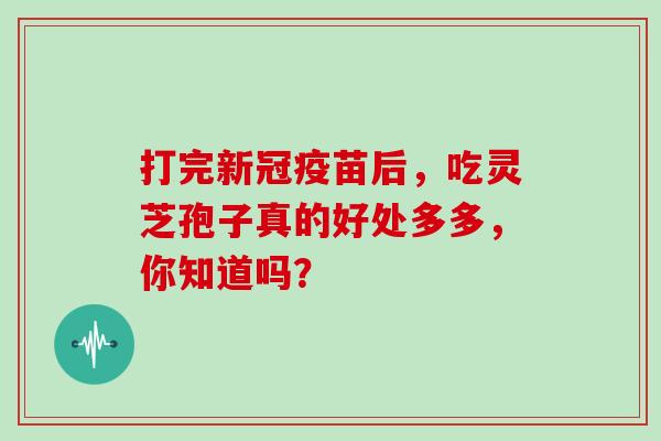 打完新冠疫苗后，吃灵芝孢子真的好处多多，你知道吗？