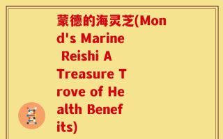 蒙德的海灵芝(Mond's Marine Reishi A Treasure Trove of Health Benefits)