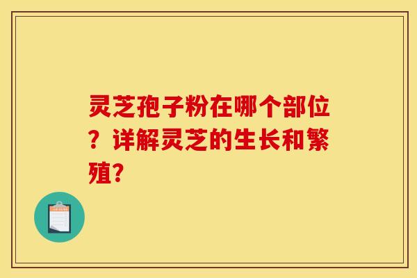 灵芝孢子粉在哪个部位?详解灵芝的生长和繁殖? 灵芝孢子粉在哪个部位?详解灵芝的生长和繁殖?