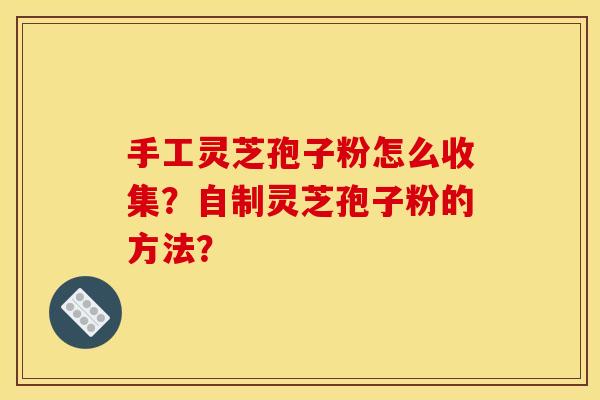 手工灵芝孢子粉怎么收集?自制灵芝孢子粉的方法? 手工灵芝孢子粉怎么收集?自制灵芝孢子粉的方法?