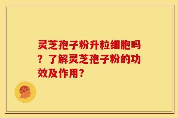 灵芝孢子粉升粒细胞吗?了解灵芝孢子粉的功效及作用? 灵芝孢子粉升粒细胞吗?了解灵芝孢子粉的功效及作用?