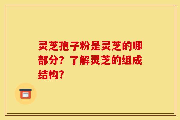 灵芝孢子粉是灵芝的哪部分?了解灵芝的组成结构? 灵芝孢子粉是灵芝的哪部分?了解灵芝的组成结构?