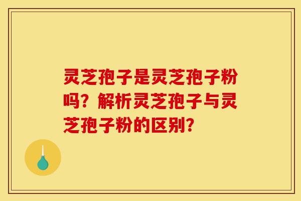 灵芝孢子是灵芝孢子粉吗?解析灵芝孢子与灵芝孢子粉的区别? 灵芝孢子是灵芝孢子粉吗?解析灵芝孢子与灵芝孢子粉的区别?