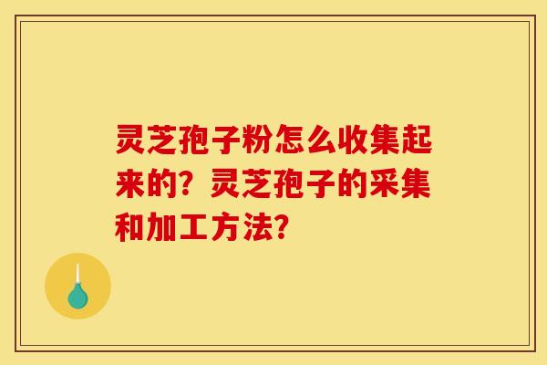 灵芝孢子粉怎么收集起来的?灵芝孢子的采集和加工方法? 灵芝孢子粉怎么收集起来的?灵芝孢子的采集和加工方法?