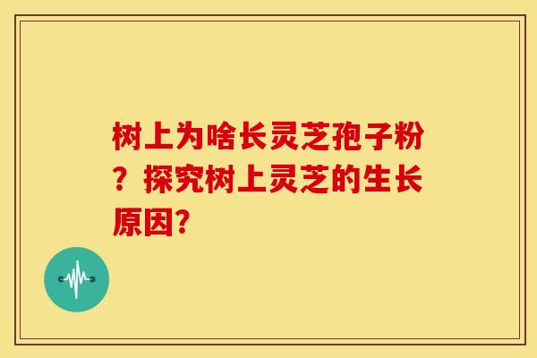 树上为啥长灵芝孢子粉?探究树上灵芝的生长原因? 树上为啥长灵芝孢子粉?探究树上灵芝的生长原因?