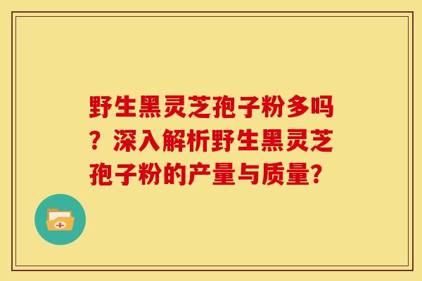 野生黑灵芝孢子粉多吗？深入解析野生黑灵芝孢子粉的产量与质量？