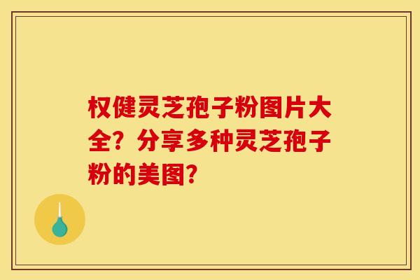 权健灵芝孢子粉图片大全?分享多种灵芝孢子粉的美图? 权健灵芝孢子粉图片大全?分享多种灵芝孢子粉的美图?