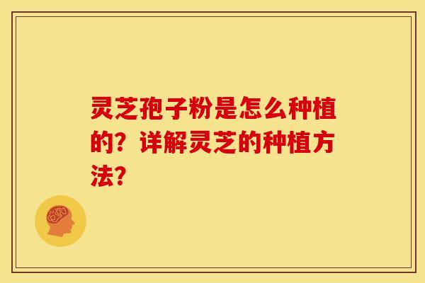 灵芝孢子粉是怎么种植的?详解灵芝的种植方法? 灵芝孢子粉是怎么种植的?详解灵芝的种植方法?