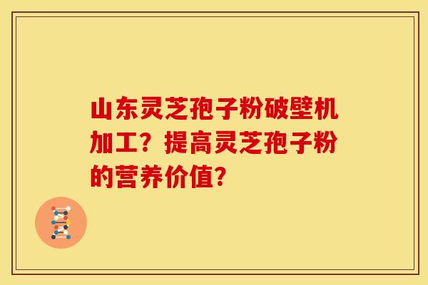 山东灵芝孢子粉破壁机加工?提高灵芝孢子粉的营养价值? 山东灵芝孢子粉破壁机加工?提高灵芝孢子粉的营养价值?