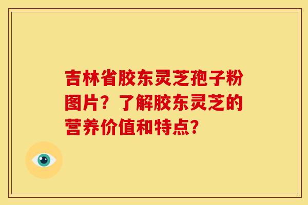 吉林省胶东灵芝孢子粉图片？了解胶东灵芝的营养价值和特点？