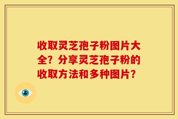 收取灵芝孢子粉图片大全?分享灵芝孢子粉的收取方法和多种图片? 收取灵芝孢子粉图片大全?分享灵芝孢子粉的收取方法和多种图片?