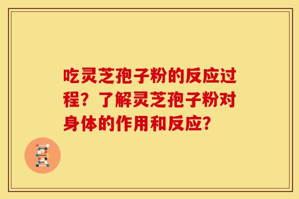 吃灵芝孢子粉的反应过程?了解灵芝孢子粉对身体的作用和反应? 吃灵芝孢子粉的反应过程?了解灵芝孢子粉对身体的作用和反应?