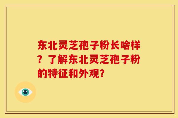 东北灵芝孢子粉长啥样？了解东北灵芝孢子粉的特征和外观？