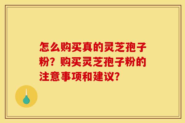 怎么购买真的灵芝孢子粉?购买灵芝孢子粉的注意事项和建议? 怎么购买真的灵芝孢子粉?购买灵芝孢子粉的注意事项和建议?