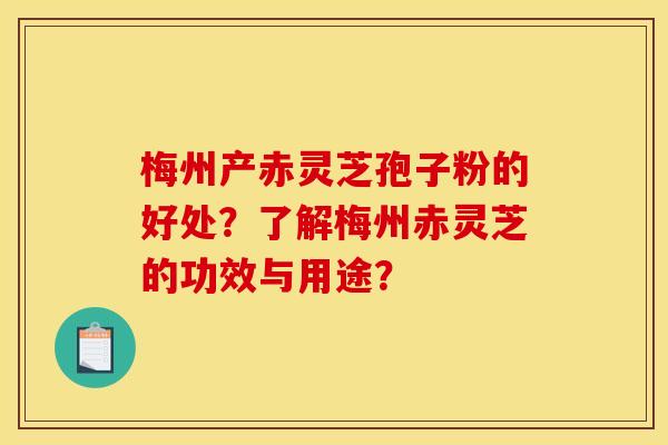 梅州产赤灵芝孢子粉的好处？了解梅州赤灵芝的功效与用途？